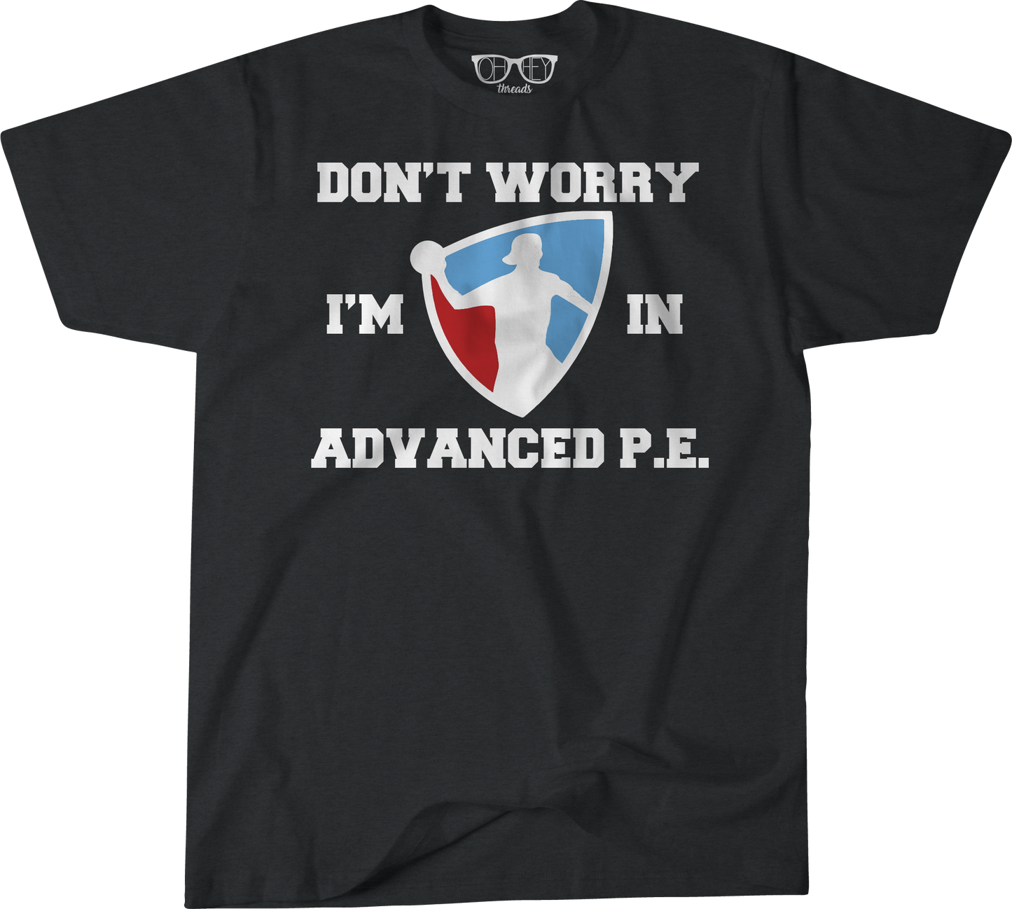 Advanced PE image 3