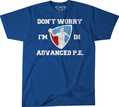 Advanced PE image 2