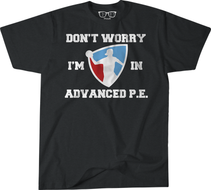 Advanced PE image 3